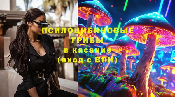 спайс Карпинск